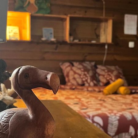 Dodo House Auberge De Jeunesse Saint-Leu Ngoại thất bức ảnh